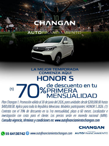 Honor S